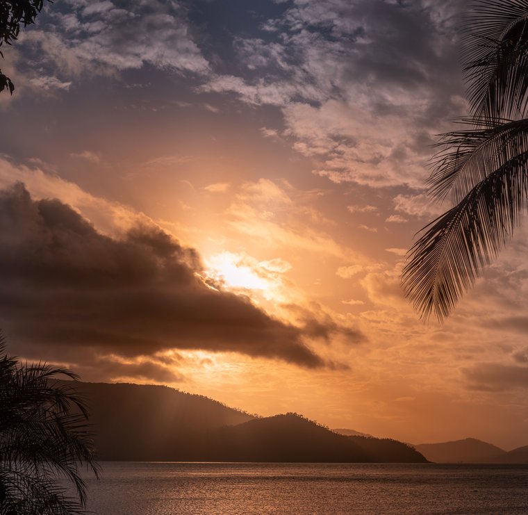 Golden sunset over the Whitsundays framed by palm silhouettes